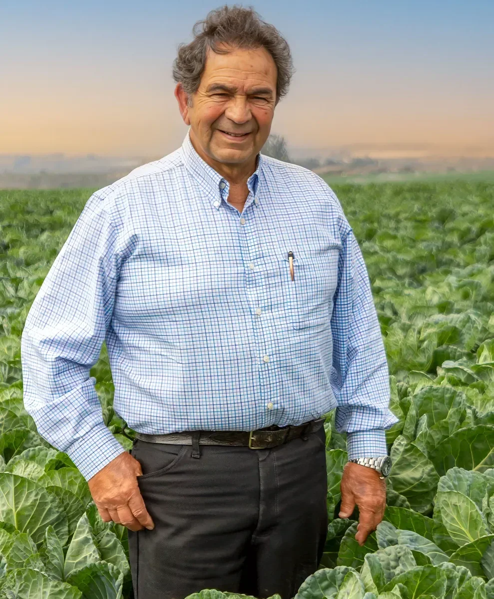 A Muzzi family member standing in a field of cabbage