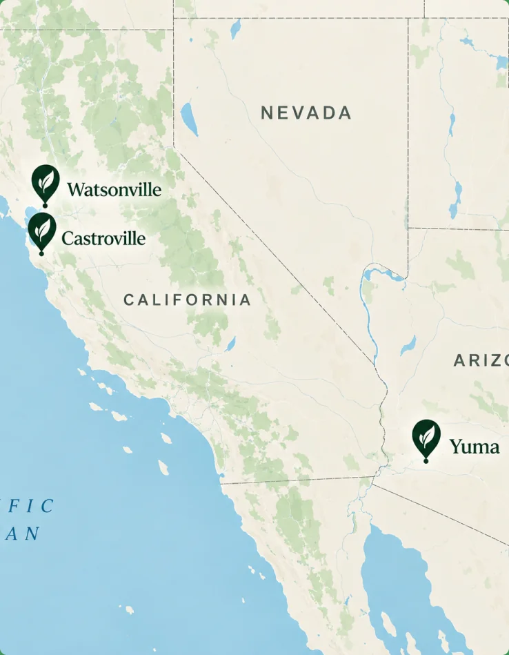 Map of Muzzi locations in Watsonville and Castroville, California, and Yuma, Arizona
