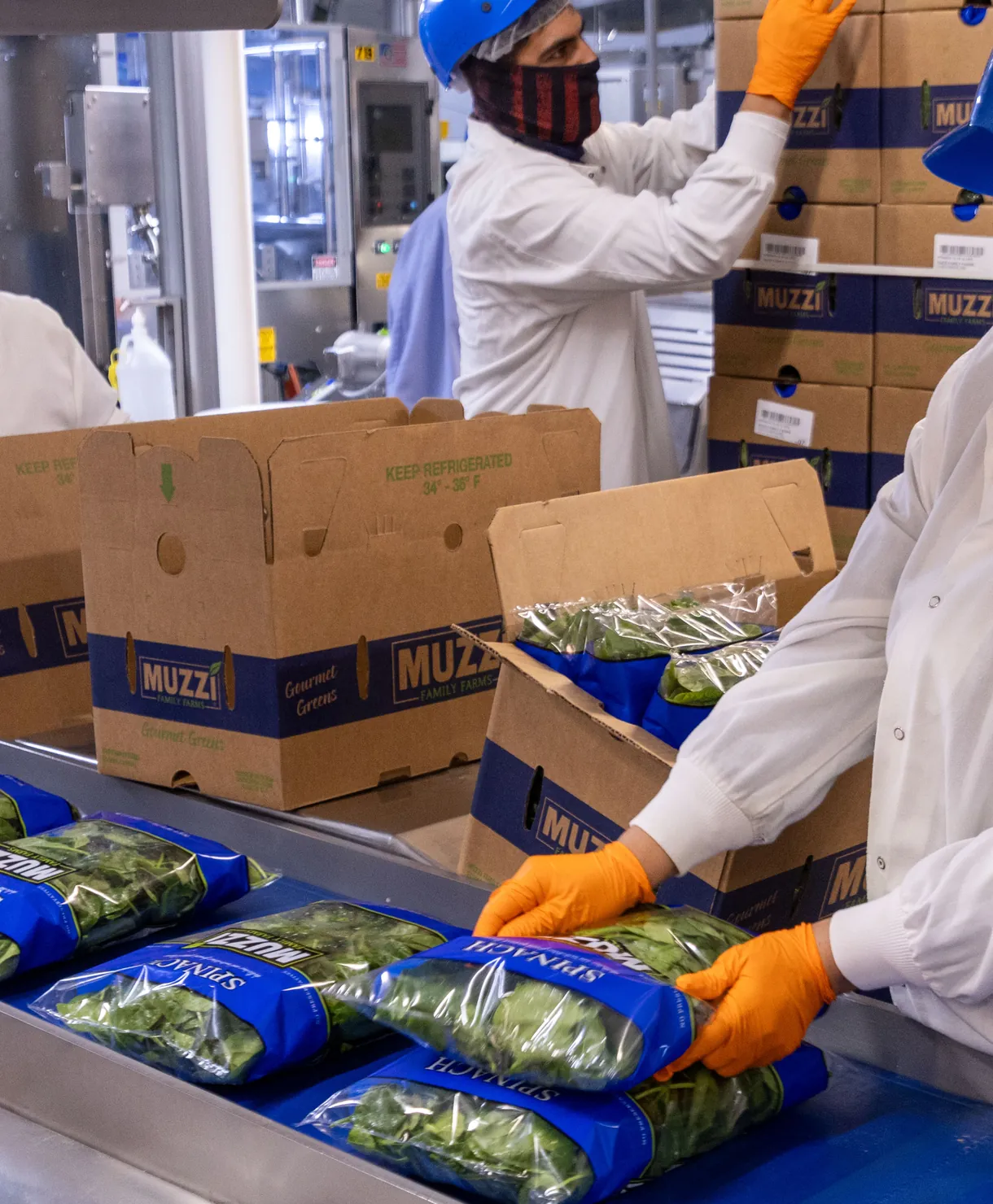 Team members packing spinach into branded bags
