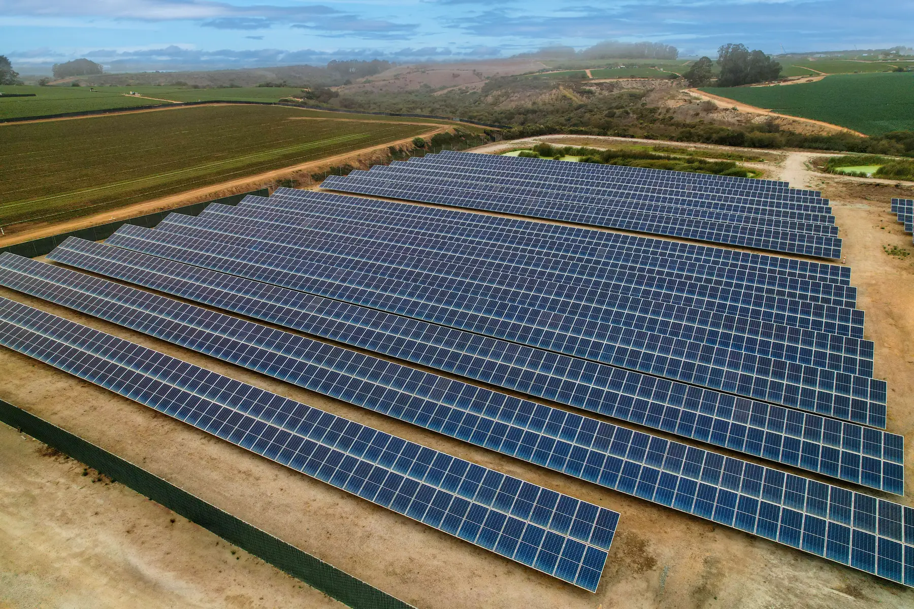 Solar panels across a Muzzi field