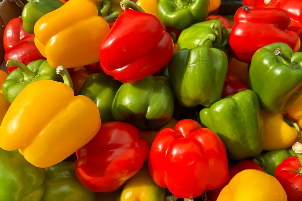 Bell Peppers Diced (Green, Red, Yellow)