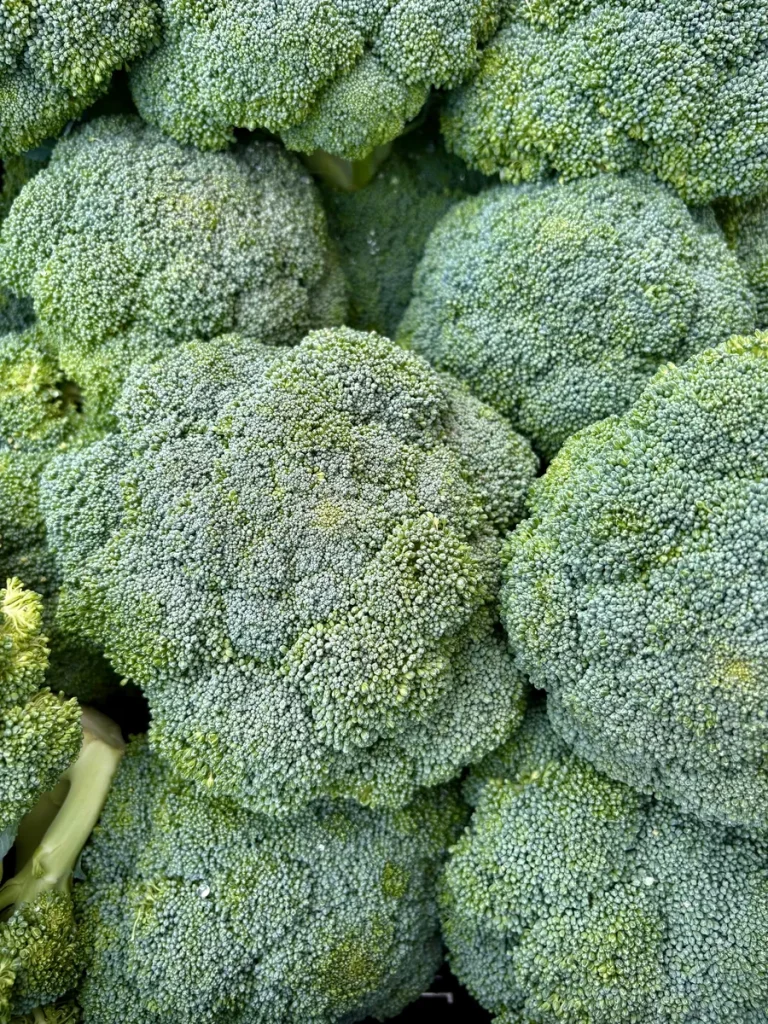 Broccoli Florets