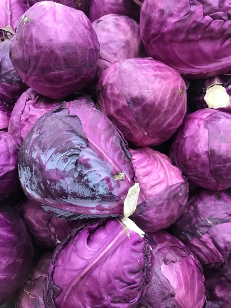 Red Cabbage Shred